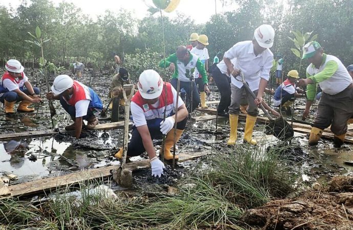 Komitmen Peduli Lingkungan, Pertamina Tanam 5000 Bibit Pohon Mangrove