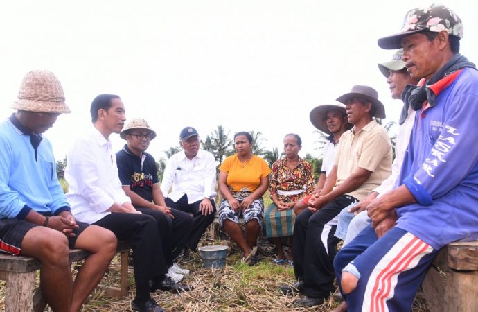 Di Balik Cerita Jokowi Susuri Pematang Sawah Temui Petani di Bali