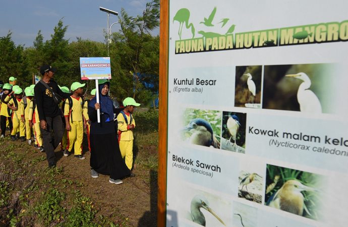 Berkat Pertamina Indramayu Miliki Ekowisata Mangrove