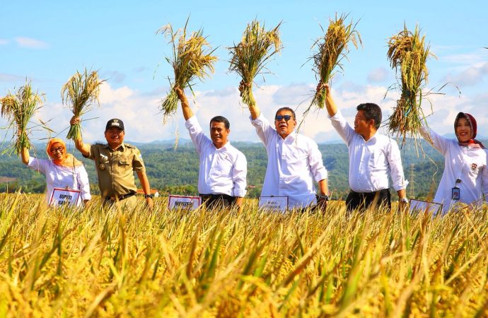 Panen Raya Padi, Mentan Tak Akan Biarkan Petani Rugi