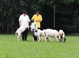 Olahraga Bareng, Jokowi-Airlangga Bahas Cawapres