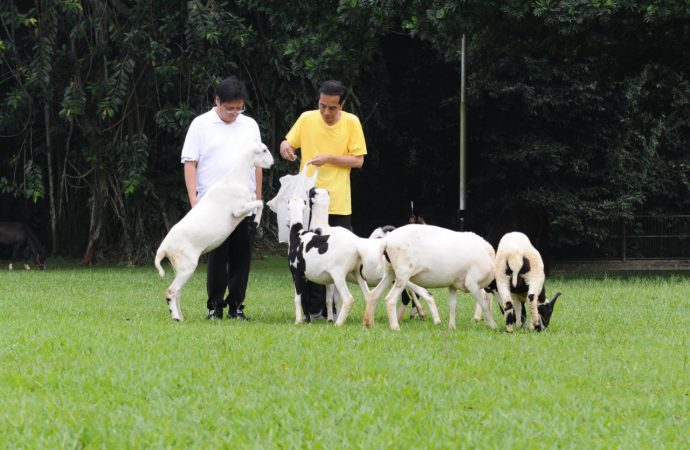 Olahraga Bareng, Jokowi-Airlangga Bahas Cawapres