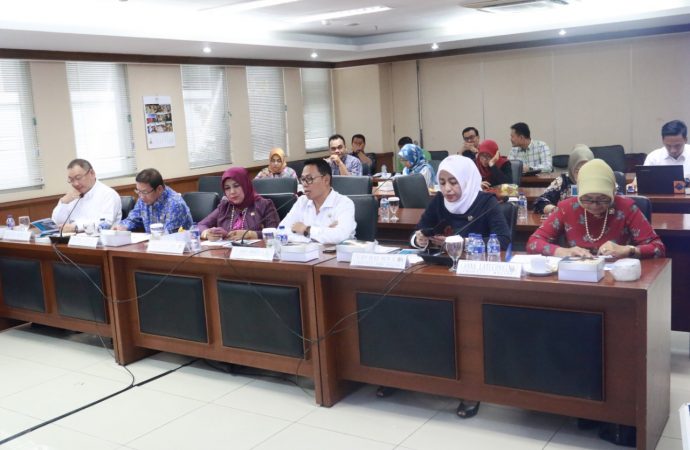 DPD Dukung Pembukaan Penerbangan Perintis