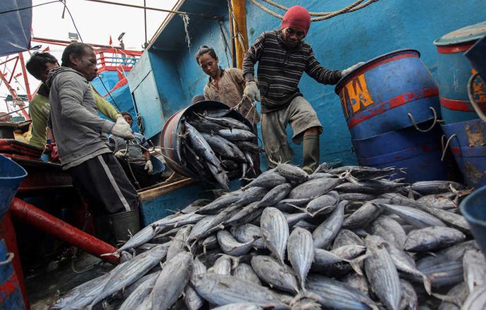 Pendapatan Perum Perindo Tembus Rp 1 Triliun