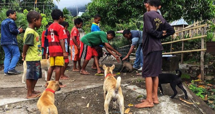 Kementan Upayakan Indonesia Bebas Rabies 2030