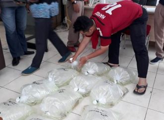 KKP Gagalkan Penyelundupan Benih Lobster di Bandung