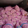 Peringatan Tegas Pemerintah untuk Importir Bawang Putih