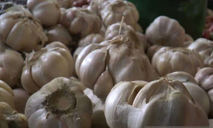 Mantan Mentan: Bulog Tak Perlu Lagi Impor Bawang Putih