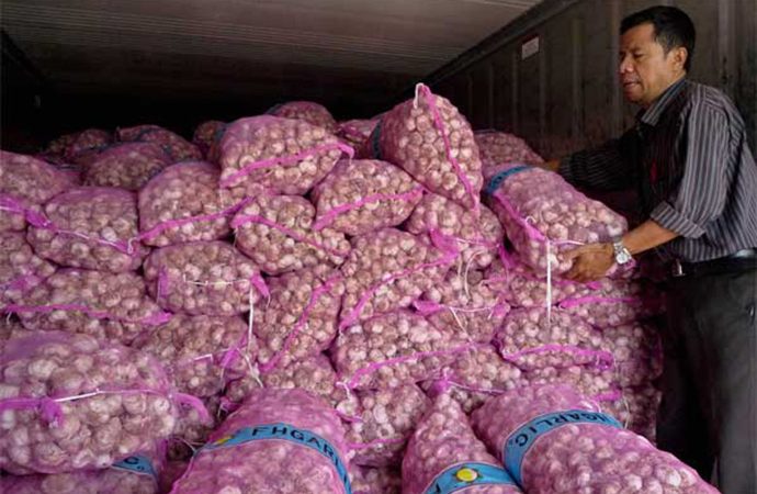 Peringatan Tegas Pemerintah untuk Importir Bawang Putih