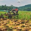 Kementan Harus Beri Insentif Ekonomi Lebih kepada Petani