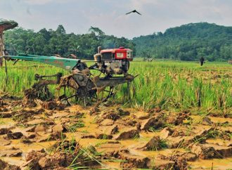 Kementan Harus Beri Insentif Ekonomi Lebih kepada Petani