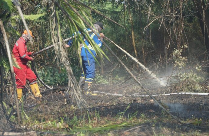 Cegah Karhutla, Pertamina Jalin Sinergi dengan Masyarakat 
