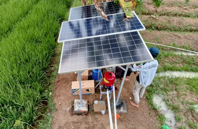 Pertamina Komitmen pada Penurunan Emisi Karbon Lewat Program PFsains