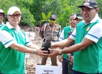 Harita Nickel dan Unkhair Dukung Upaya Rehabilitasi Hutan Mangrove di Halmahera Selatan