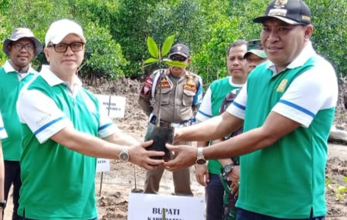 Harita Nickel dan Unkhair Dukung Upaya Rehabilitasi Hutan Mangrove di Halmahera Selatan