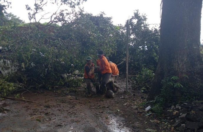 Bantu Evakuasi Korban Gempa Di Cianjur, PUPR Mobilisasi Personil dan Alat Berat