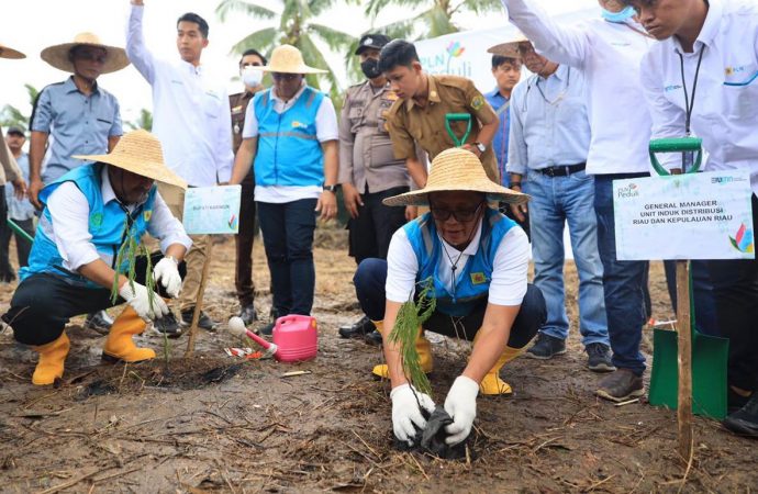 PLN Tanam 100.000 Bibit Pohon Kaliandra di Atas Lahan 10 Hektare di Karimun