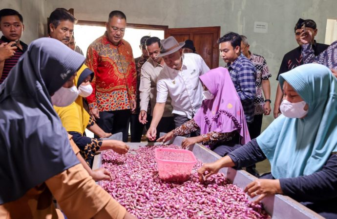 Tingkatkan Kesejahteraan Petani Di Brebes, KemenKopUKM Galakkan Program Hilirisasi Bawang Merah
