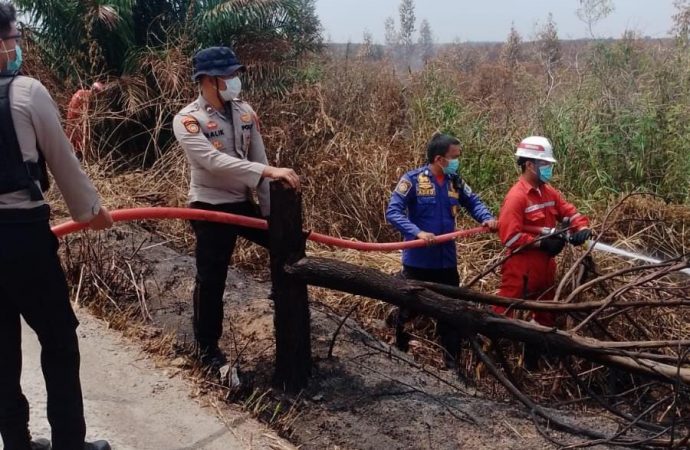Sinergi Pertamina Group Turunkan 206 Personil Bantu Atasi Kebakaran Karhutla