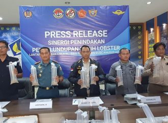 Penyelundupan Benih Lobster Senilai Rp19 Miliar Digagalkan