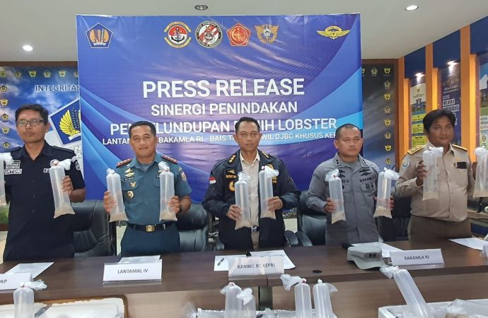 Penyelundupan Benih Lobster Senilai Rp19 Miliar Digagalkan