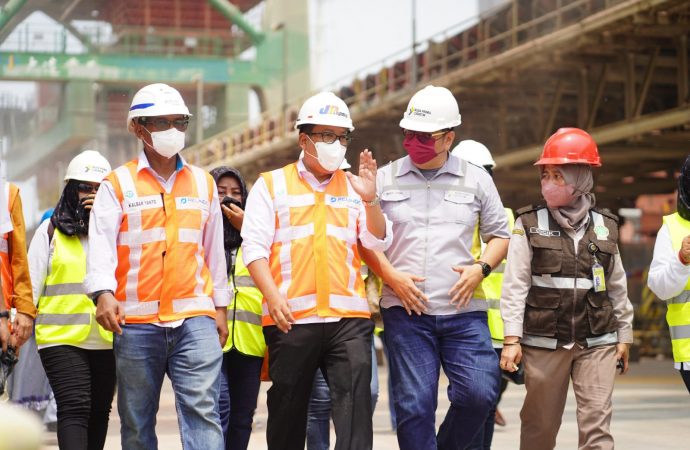 20.000 Ton Jagung Buat Kebutuhan Pakan Ternak