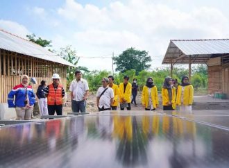 85 Program Desa Energi Berdikari Pertamina Sukses Turunkan 729 Ribu Ton Emisi Karbon