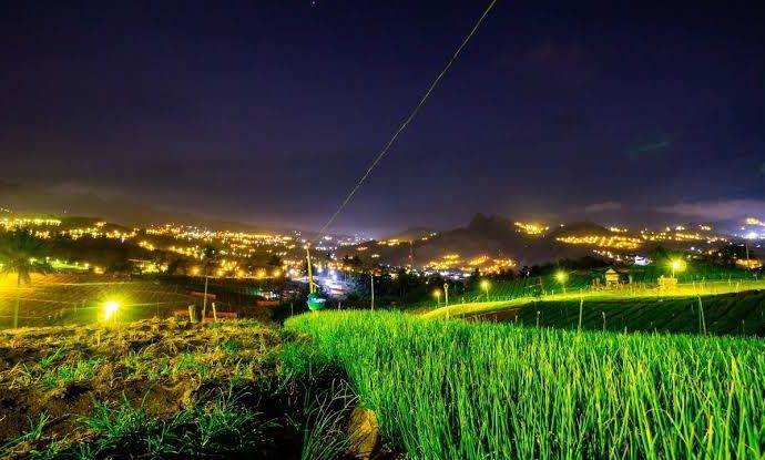 Raih Energy Globe Award 2023, Program Electrifying Agriculture PLN Akan Wakili Indonesia di Tingkat Global