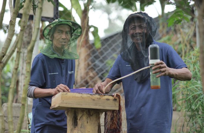 Bagian Dari Perhutanan Sosial, Hutan Pertamina Tanam Lebih Dari Enam Juta Pohon