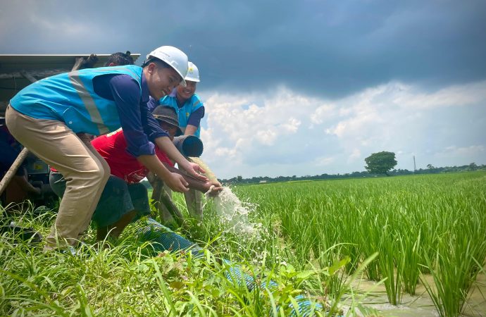 Electrifying Agriculture_ PLN, Bikin Biaya Operasional Petani di Pekalongan Jateng Hemat 80%