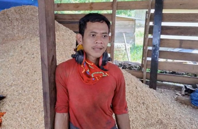 Bawa Berkah, Meningkatnya Produksi Biomassa PLN Sukses Buka Lapangan Kerja Masif di Daerah