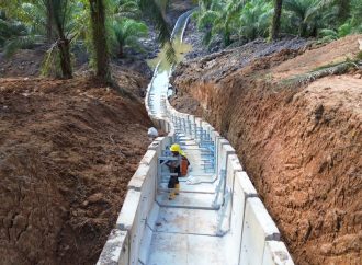 Dukung Pembangunan IKN Menuju Forest City, PLN Rampungkan Tiga Infrastruktur Kelistrikan Tegangan Tinggi