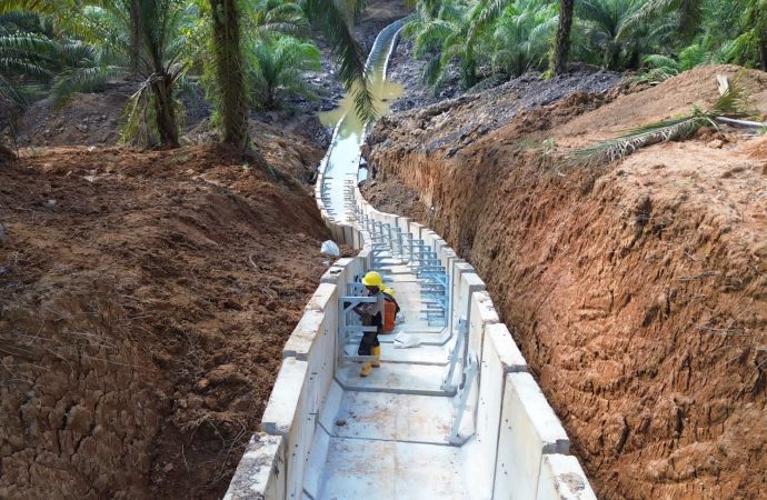 Dukung Pembangunan IKN Menuju Forest City, PLN Rampungkan Tiga Infrastruktur Kelistrikan Tegangan Tinggi