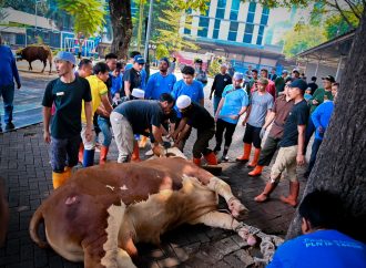 Idul Adha Berbagi, PLN Distribusikan Daging Kurban ke Seluruh Indonesia