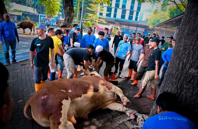 Idul Adha Berbagi, PLN Distribusikan Daging Kurban ke Seluruh Indonesia