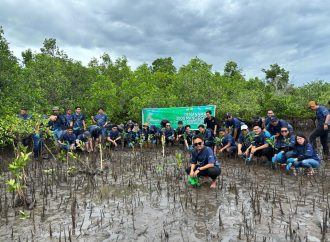 Peringati Hari Lingkungan Hidup Sedunia, PLN Tanam 3.000 Mangrove di Pesisir Sulawesi Utara