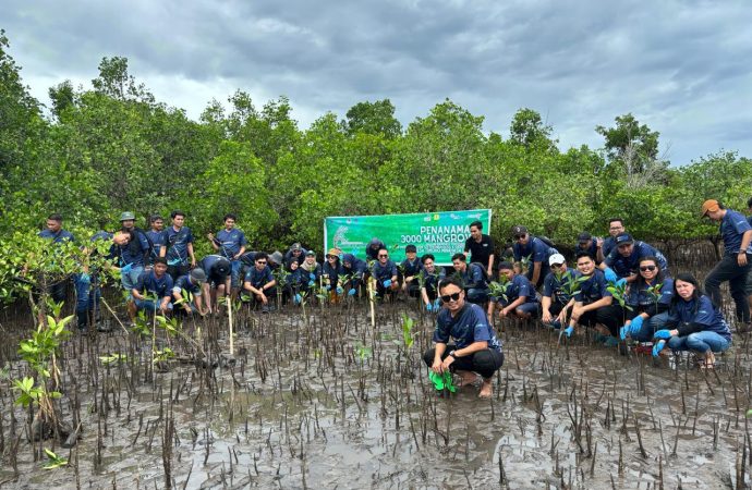 Peringati Hari Lingkungan Hidup Sedunia, PLN Tanam 3.000 Mangrove di Pesisir Sulawesi Utara