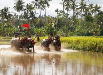Lewat Relawan Bakti BUMN, PLN Beri Pelatihan UMKM dan Giatkan Budaya Khas Jembrana, Bali
