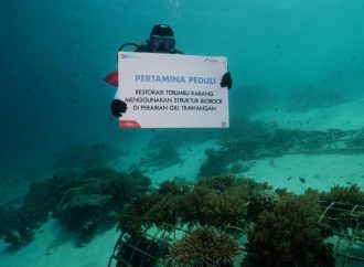 Meriahkan HUT ke-79 Kemerdekaan RI, Pertamina Gelar Pengibaran Bendera Bawah Laut hingga Pemberian Beasiswa