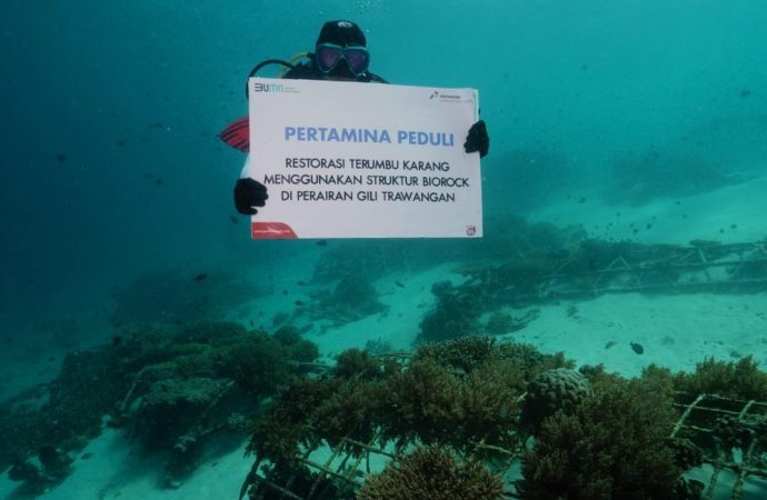 Meriahkan HUT ke-79 Kemerdekaan RI, Pertamina Gelar Pengibaran Bendera Bawah Laut hingga Pemberian Beasiswa
