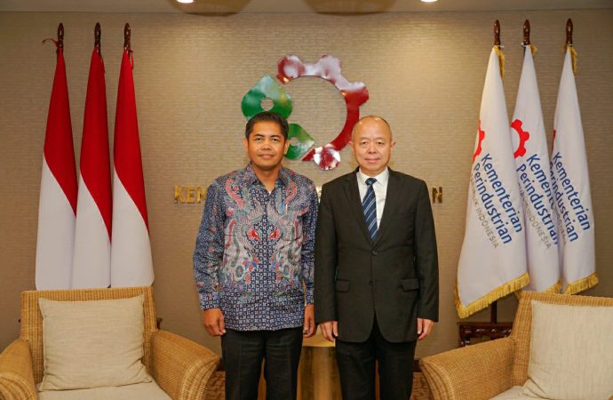 RI Ajak RRT Kerjasama Industri Photovoltaic & Susun Kembali Tata Kelola Smelter