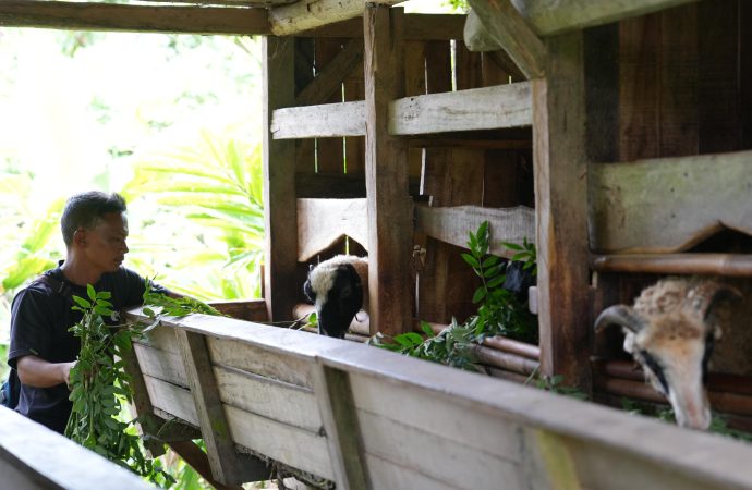 PLN Akan Resmikan Pengembangan Ekosistem Biomassa di Tasikmalaya