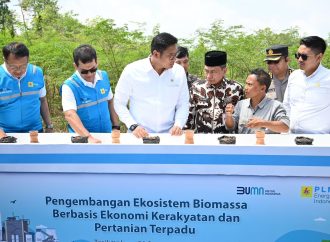 Kembangkan Bahan Co-Firing Biomassa, PLN dan Kementan Luncurkan Model Pertanian Terpadu