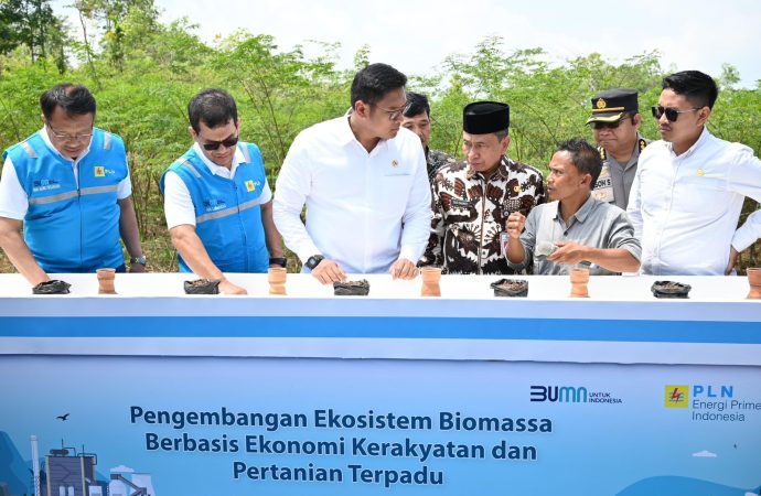 Kembangkan Bahan Co-Firing Biomassa, PLN dan Kementan Luncurkan Model Pertanian Terpadu