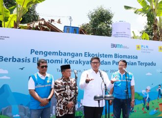 PLN Kembangkan Ekosistem Biomassa Berbasis Pertanian Terpadu dengan Mengubah Lahan Kritis Jadi Hijau dan Produktif