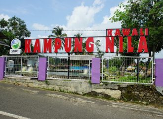 Mengenal SFV Yang Mampu Dongrak Budidaya Nila