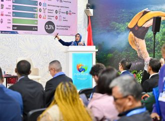 Kembangkan Energi Bersih, Pertamina Jadikan Panas Bumi Akselerasi Transisi Energi