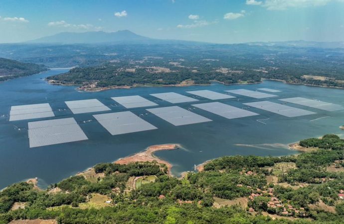 PLN Jadi Perusahaan Pertama di Tanah Air Adopsi Kerangka Kerja TNFD