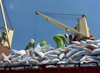 Perkuat Ketahanan Pangan Nasional, Pelindo Multi Terminal Group Pastikan Kelancaran Bongkar Komoditas Beras