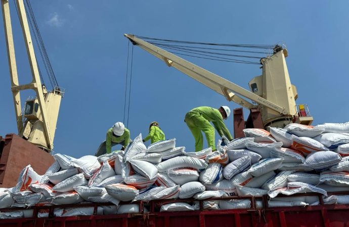 Perkuat Ketahanan Pangan Nasional, Pelindo Multi Terminal Group Pastikan Kelancaran Bongkar Komoditas Beras